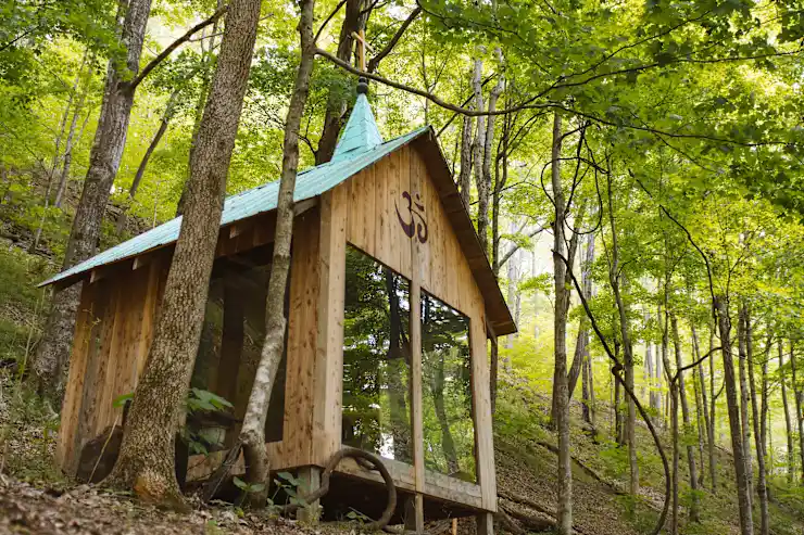 Beech Hollow Hideout